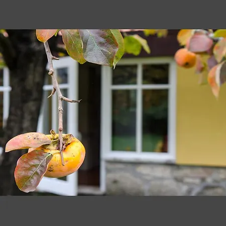 Gospodarstwo wiejskie Casa Da Eira De Gondomil Valenca