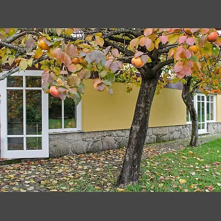 Casa Da Eira De Gondomil