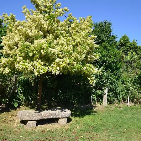 Gospodarstwo wiejskie Casa Da Eira De Gondomil *